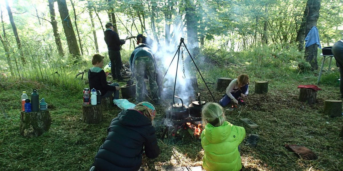 Greenwood courses and Bushcraft in the Lake District - Woodmatters